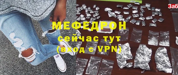 индика Краснослободск