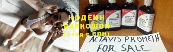 спиды Богданович