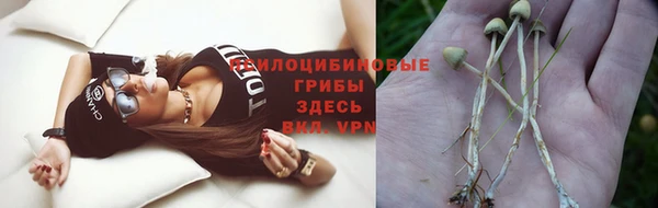 спиды Богданович
