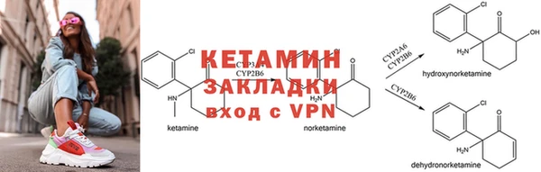 спиды Богданович