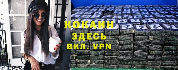 спиды Богданович