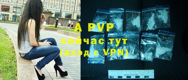 спиды Богданович