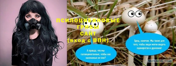 бутират Богородицк